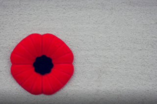 Image: Remembrance Day at Point Pleasant Park