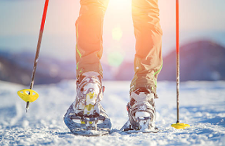 Image: Hemlock Ravine Snowshoe Hike