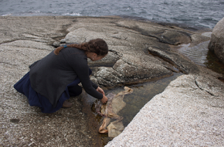 Image: Walking the Littoral
