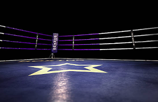 Image: Reborn: Ultimate Championship Wrestling