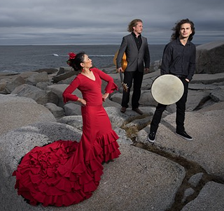 Image: Flamenco en Rouge: Camino Flamenco