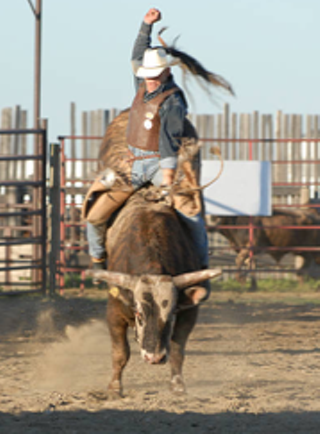 Image: Professional Bull Riders Tour