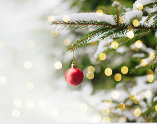 Image: 2018 Dartmouth Christmas Tree Lighting