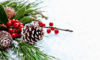 Image: Christmas Cheer Open House