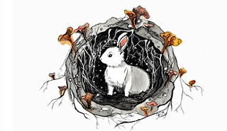 The White Rabbit Arts Festival