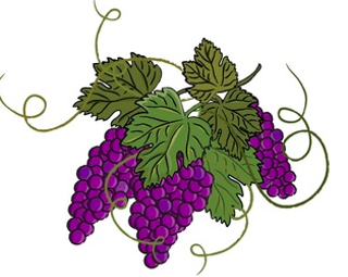 Image: Wines of Nova Scotia at the Atlantic Agricultural Fall Fair