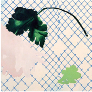 Image: Flower Paintings