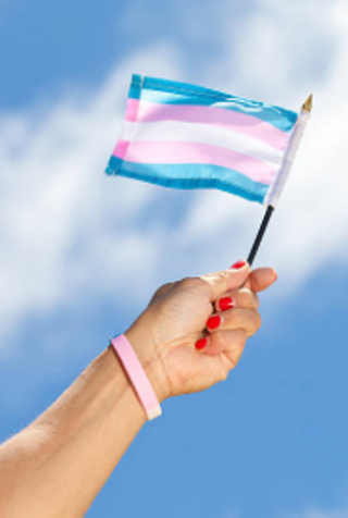 Image: Halifax Trans March