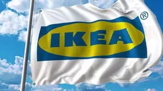 Image: Theodore welcomes IKEA to Halifax