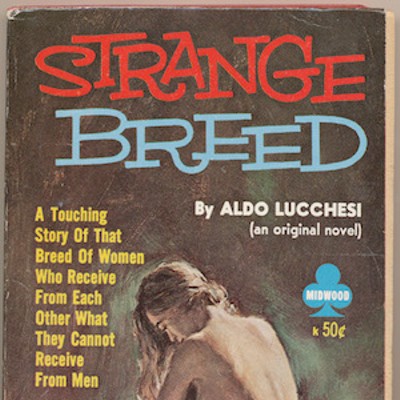 Pulpy portraits: book covers from MSVU's vault