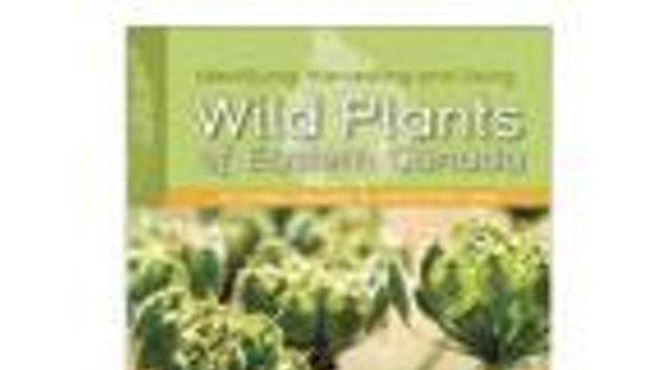 Wild Plants of Eastern Canada: Identifying, Harvesting and Using