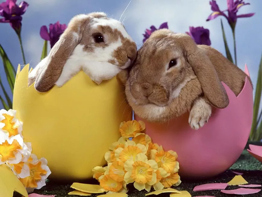 easter-bunny-2.webp