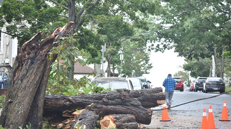 Clean-up begins in earnest after post-tropical storm Lee leaves Halifax behind