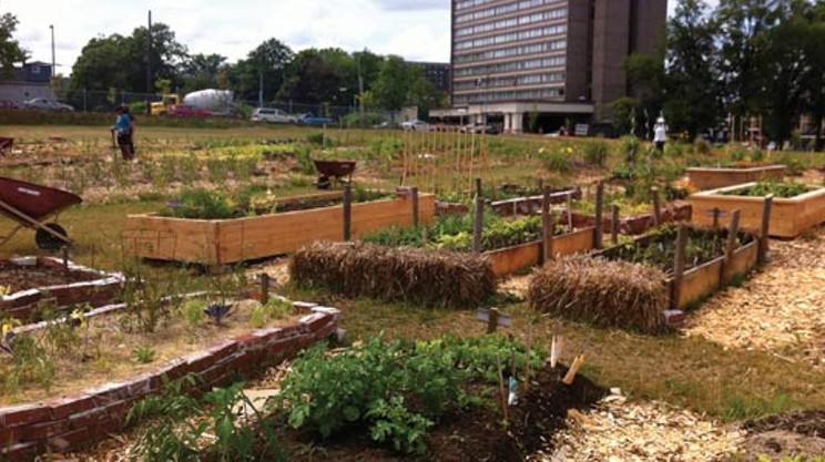 Common Roots Urban Farm awaits approval of their new home