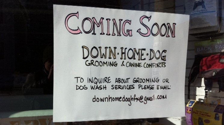 Down Home Dog, coming soon