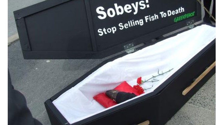 Greenpeace targets Sobeys for selling cod