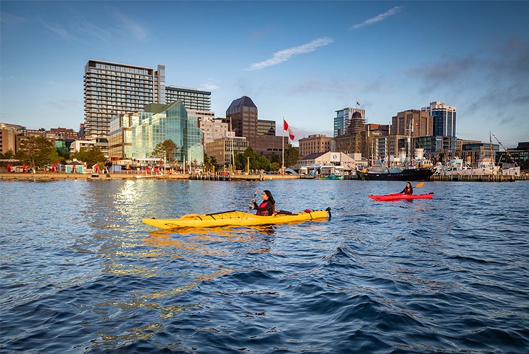 View Halifax from sea level in a kayak rental from Harbour Watercraft Tours & Adventures ADAM CORNICK
