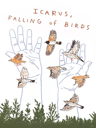 Image: Icarus, Falling of Birds