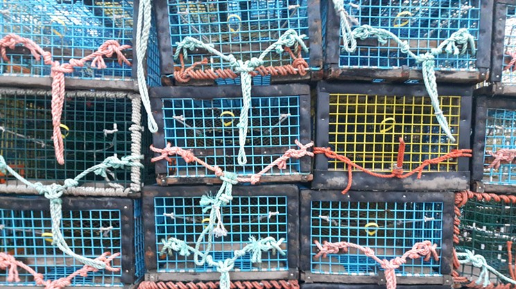 Lobster livelihood fishery talks hit bottom