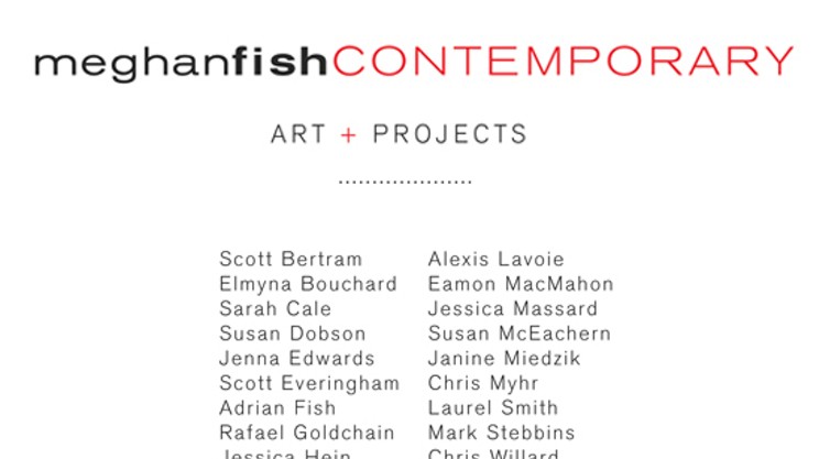 Meghan Fish Contemporary Art + Projects: CORRECTION