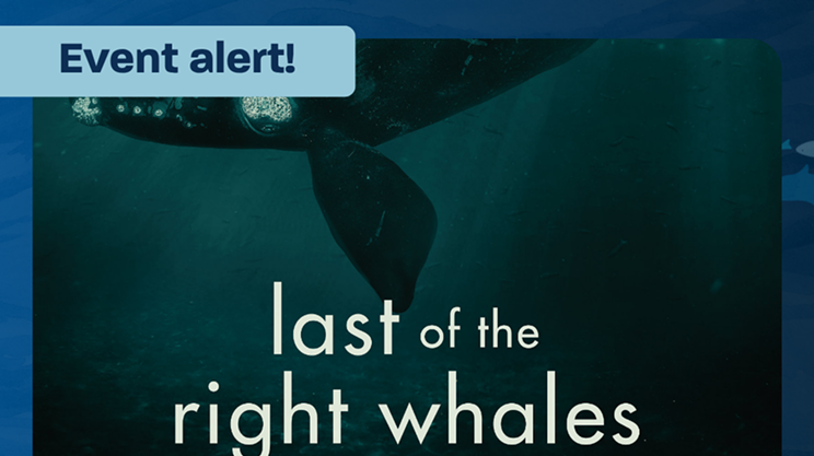 Image: Movie Night at Beaty Centre for Marine Biodiversity