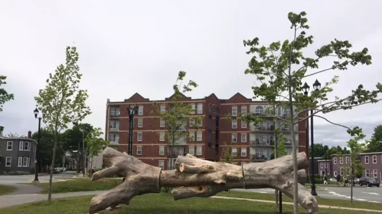 Image: Our Common Woods resurrects trees through art