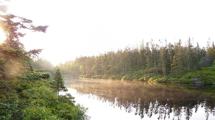 PAID: 10 Off-The-Beaten-Path Looks at Your Favourite Spots in Halifax