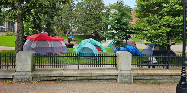 A motion to remove Point Pleasant Park as a designated homeless encampment was defeated during Halifax city council's meeting on Tuesday.