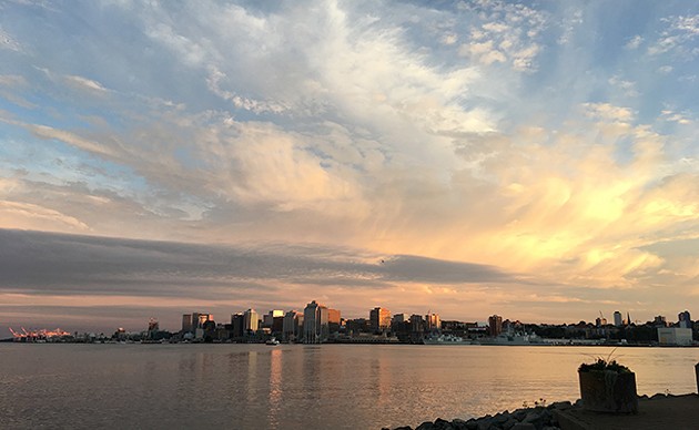 15 of the best Instagram backdrops in Halifax