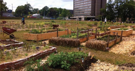 New roots for urban garden, new land for Birch Cove Lakes and Barrington Street's greenway