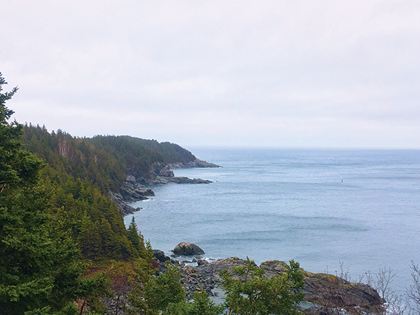 What to do in Ingonish, Cape Breton