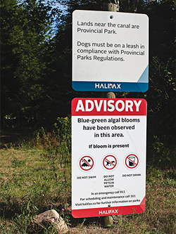 Halifax is asking us (and our dogs) to stop pooping in the water