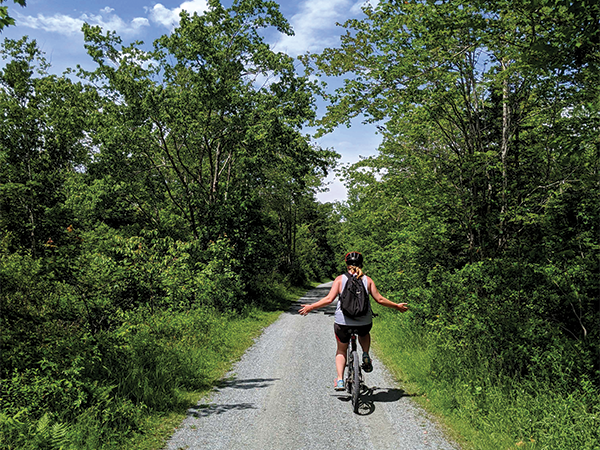 A beginners guide to biking to the beach in Halifax