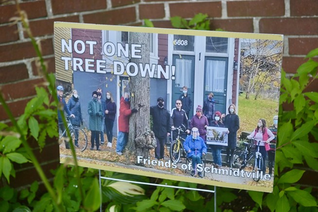 The fight over bikes, trees and cars in Halifax's south end