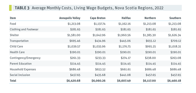 Families need a household income of $85,000 to live a good life in Halifax says new report (3)