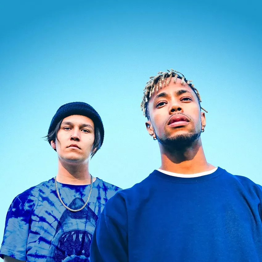 Best Electronic Artist / Band