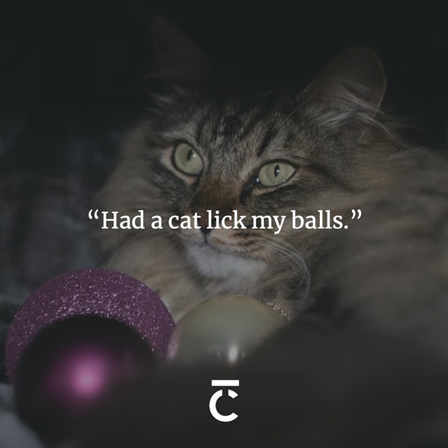 “Had a cat lick my balls.” Cat with some decorative round baubles. The Coast's 2023 Sex + Dating Survey.