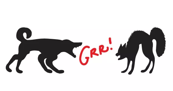 Dog Haters = Miserable People