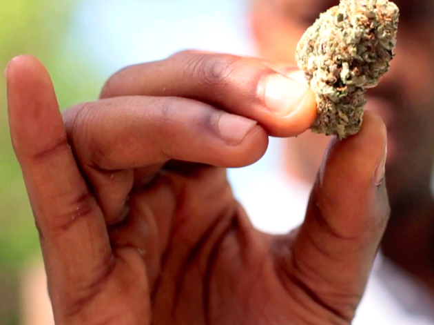 Watch this short doc on the benefits of medical marijuana