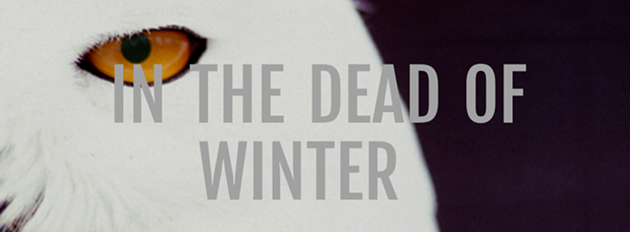 Listen to our playlist full of In the Dead of Winter artists