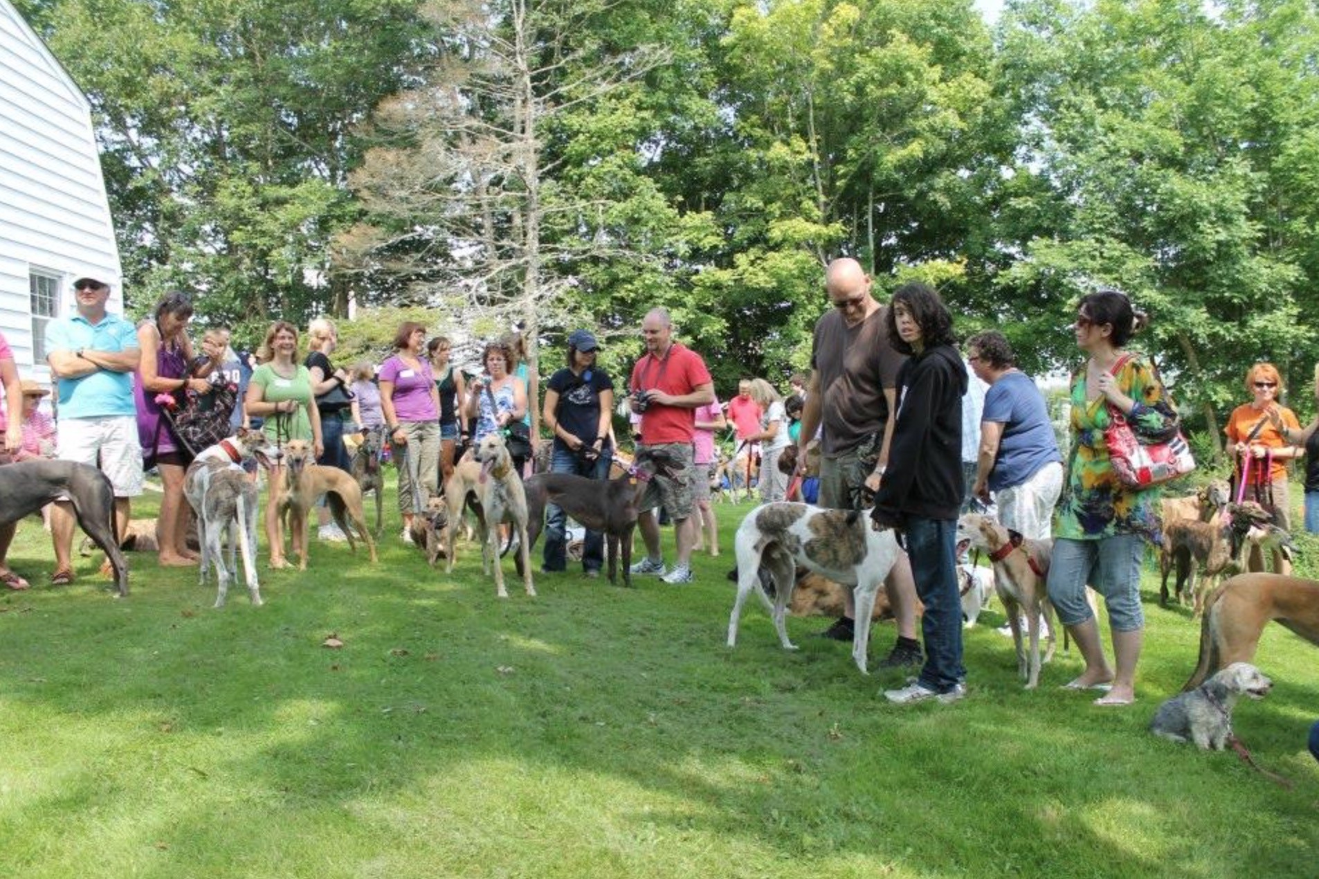 Top 10 dog-friendly events in Halifax