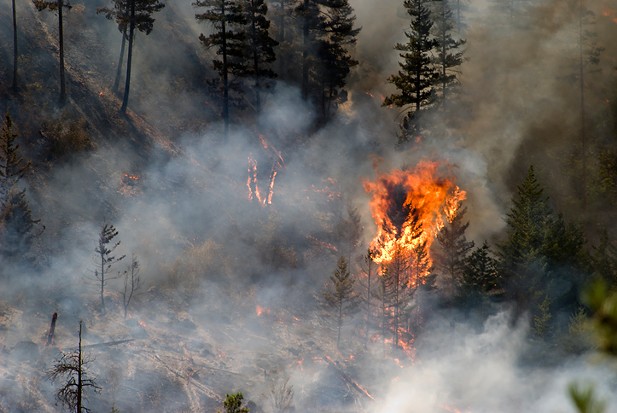 SCIENCE MATTERS: Wildfires are a climate change wake-up call