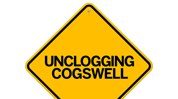 Cogswell’s flyovers and flyby consulting