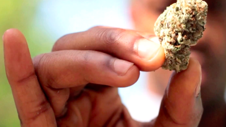 Watch this short doc on the benefits of medical marijuana